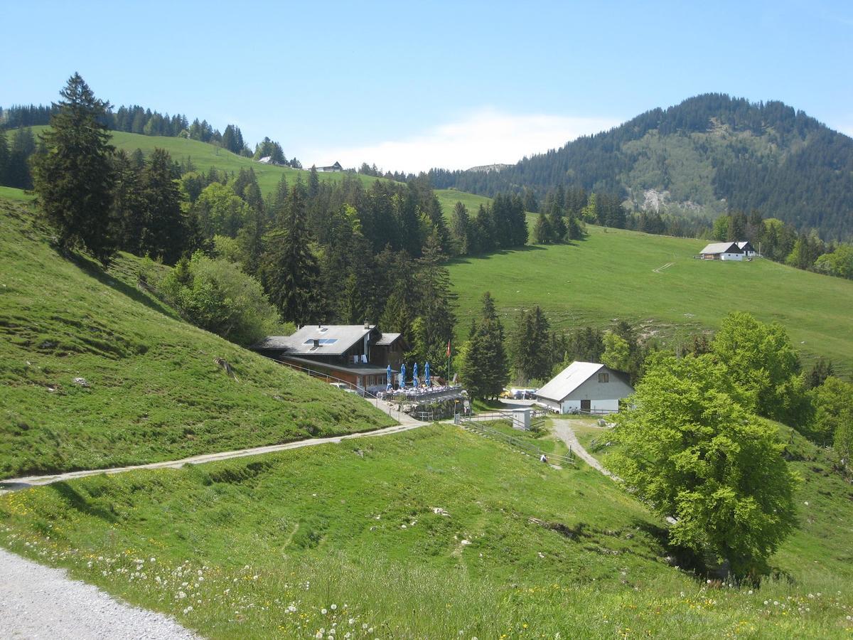Montlinger Schwamm Hotel Oberriet Exterior photo